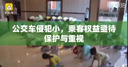 公交车侵犯小，乘客权益亟待保护与重视