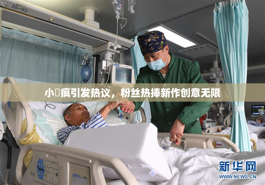 小泬疯引发热议，粉丝热捧新作创意无限