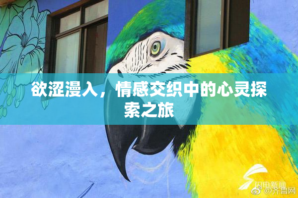 欲涩漫入，情感交织中的心灵探索之旅