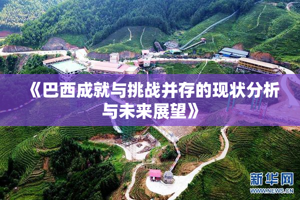 《巴西成就与挑战并存的现状分析与未来展望》