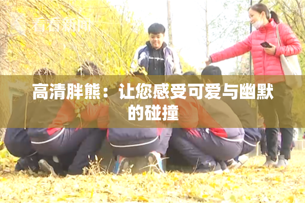 高清胖熊：让您感受可爱与幽默的碰撞