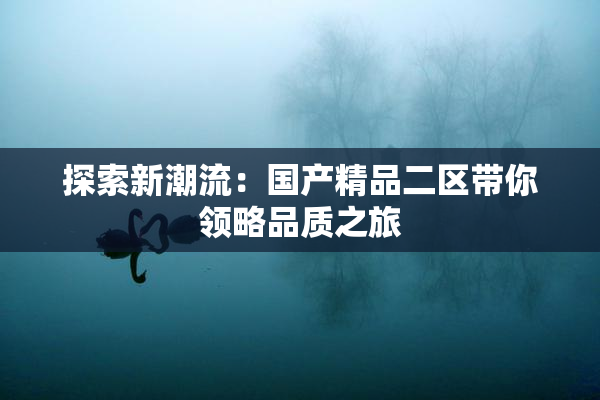 探索新潮流：国产精品二区带你领略品质之旅