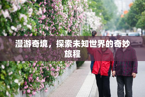漫游奇境，探索未知世界的奇妙旅程