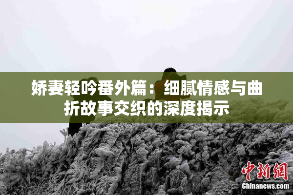 娇妻轻吟番外篇：细腻情感与曲折故事交织的深度揭示