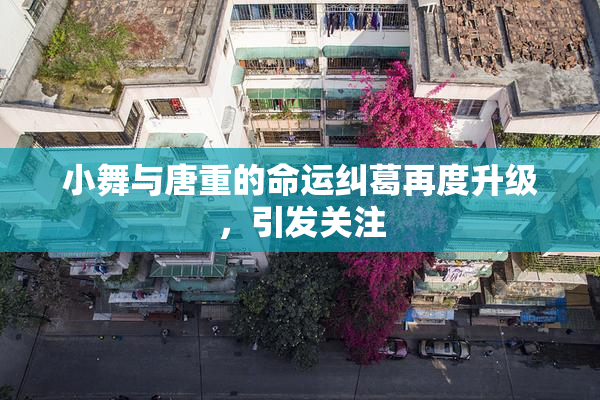 小舞与唐重的命运纠葛再度升级，引发关注