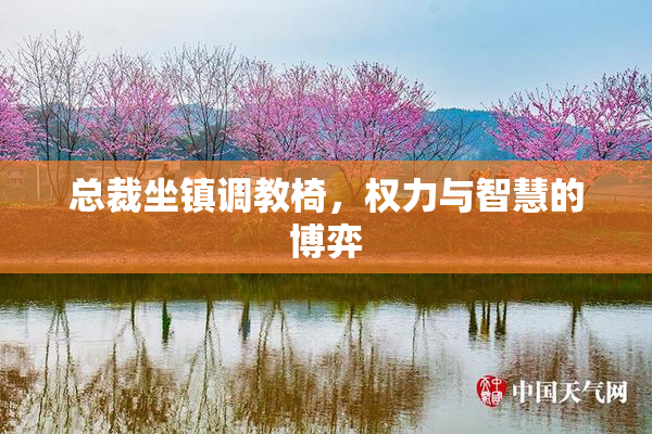 总裁坐镇调教椅，权力与智慧的博弈