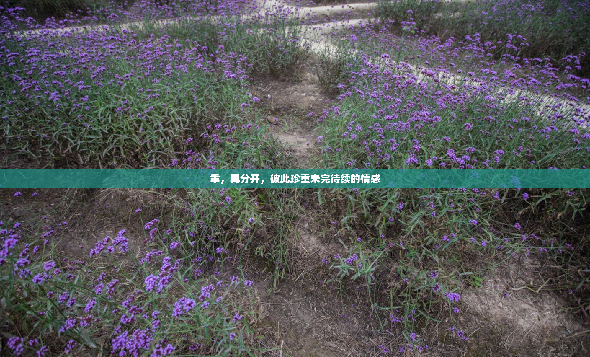 乖，再分开，彼此珍重未完待续的情感