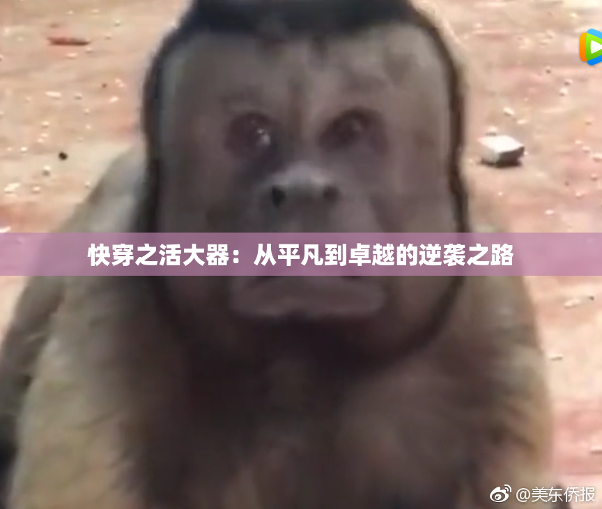快穿之活大器：从平凡到卓越的逆袭之路