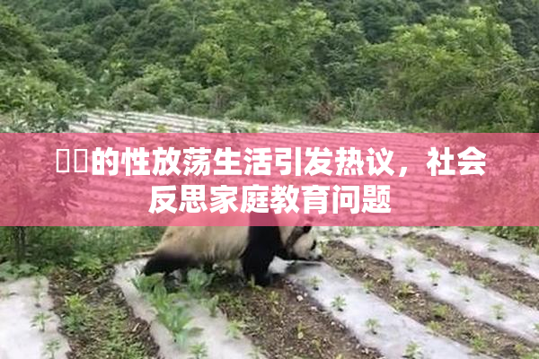 妺妺的性放荡生活引发热议，社会反思家庭教育问题