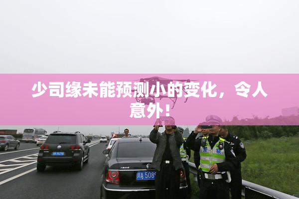 少司缘未能预测小的变化，令人意外！