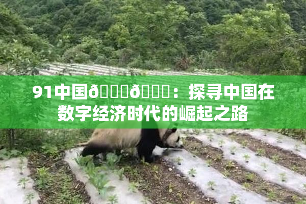 91中国🍆🍑：探寻中国在数字经济时代的崛起之路