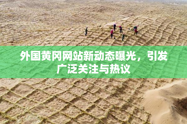 外国黄冈网站新动态曝光，引发广泛关注与热议