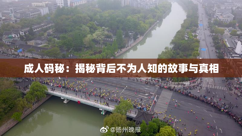 成人码秘：揭秘背后不为人知的故事与真相