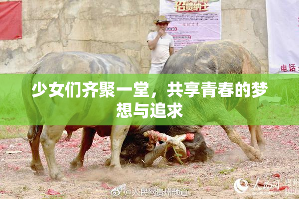 少女们齐聚一堂，共享青春的梦想与追求