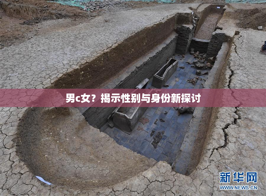 男c女？揭示性别与身份新探讨