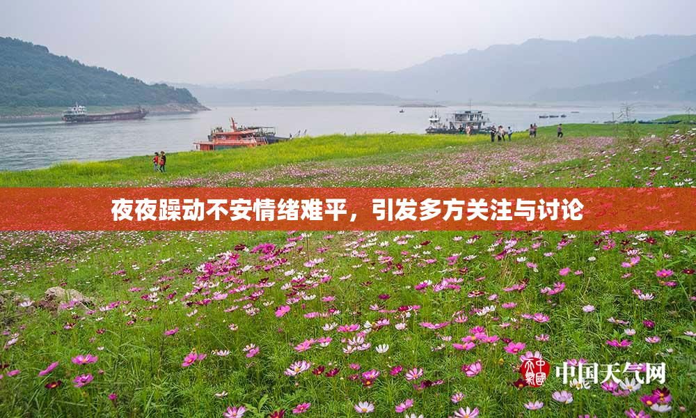夜夜躁动不安情绪难平，引发多方关注与讨论