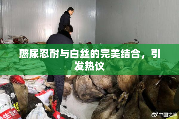 憋尿忍耐与白丝的完美结合，引发热议