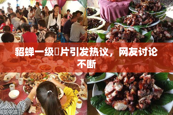 貂蝉一级婬片引发热议，网友讨论不断