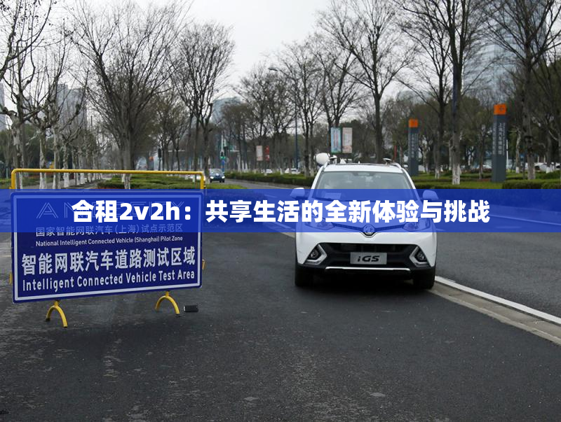 合租2v2h：共享生活的全新体验与挑战