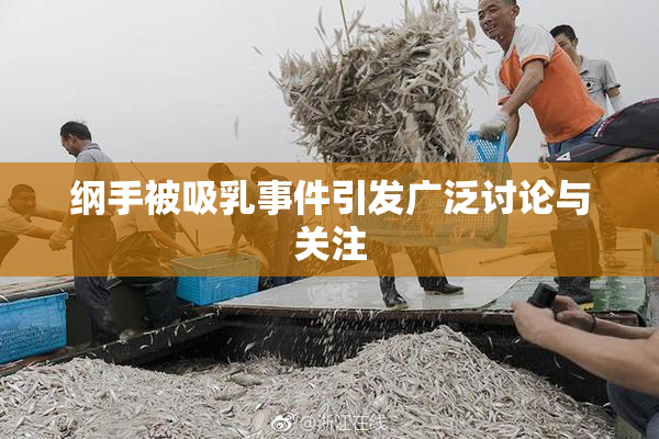 纲手被吸乳事件引发广泛讨论与关注