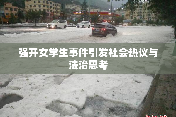 强开女学生事件引发社会热议与法治思考