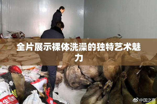 全片展示裸体洗澡的独特艺术魅力