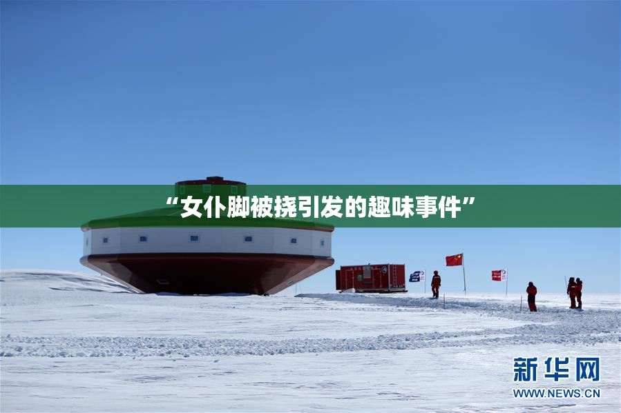 “女仆脚被挠引发的趣味事件”