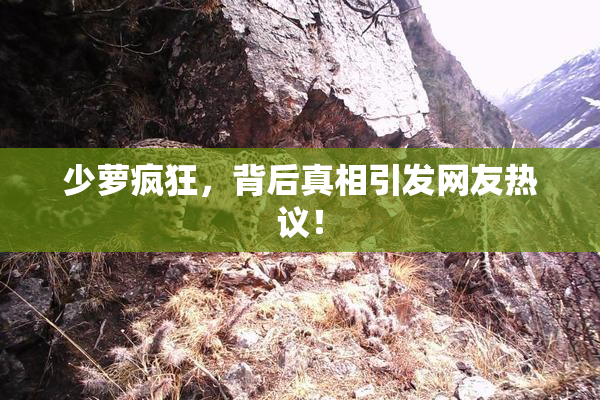 少萝疯狂，背后真相引发网友热议！