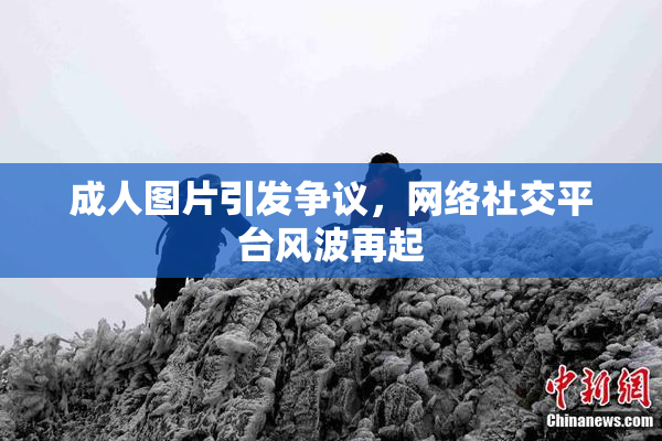 成人图片引发争议，网络社交平台风波再起