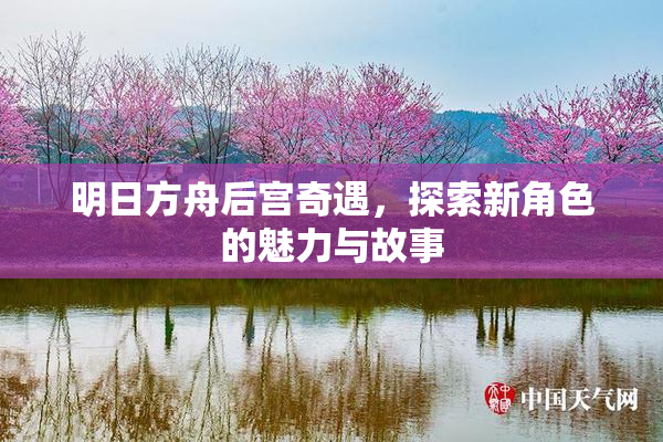 明日方舟后宫奇遇，探索新角色的魅力与故事