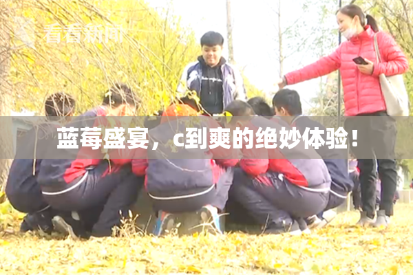 蓝莓盛宴，c到爽的绝妙体验！