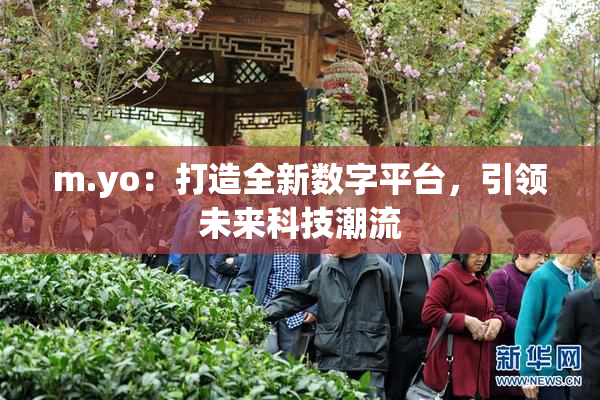 m.yo：打造全新数字平台，引领未来科技潮流