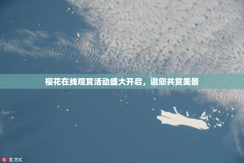 樱花在线观赏活动盛大开启，邀您共赏美景