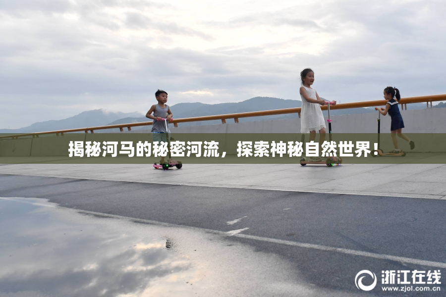 揭秘河马的秘密河流，探索神秘自然世界！