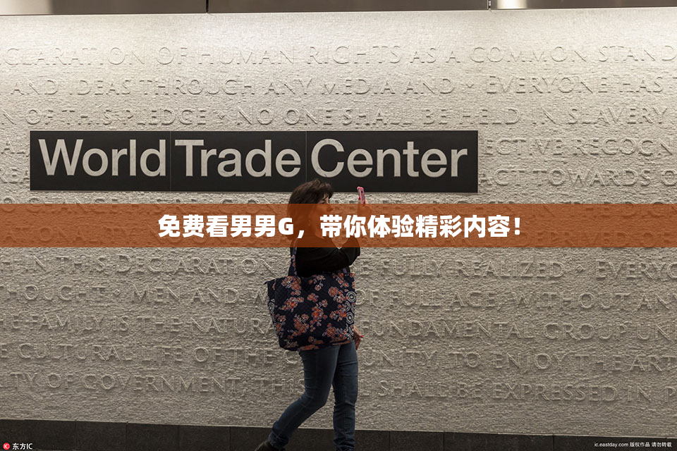 免费看男男G，带你体验精彩内容！