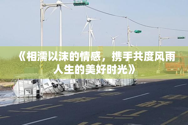 《相濡以沫的情感，携手共度风雨人生的美好时光》