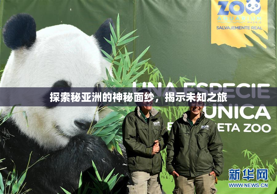 探索秘亚洲的神秘面纱，揭示未知之旅