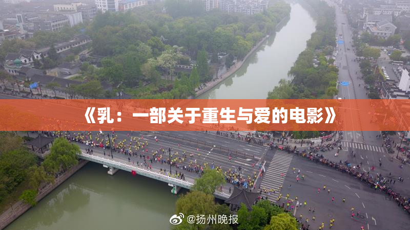 《乳：一部关于重生与爱的电影》