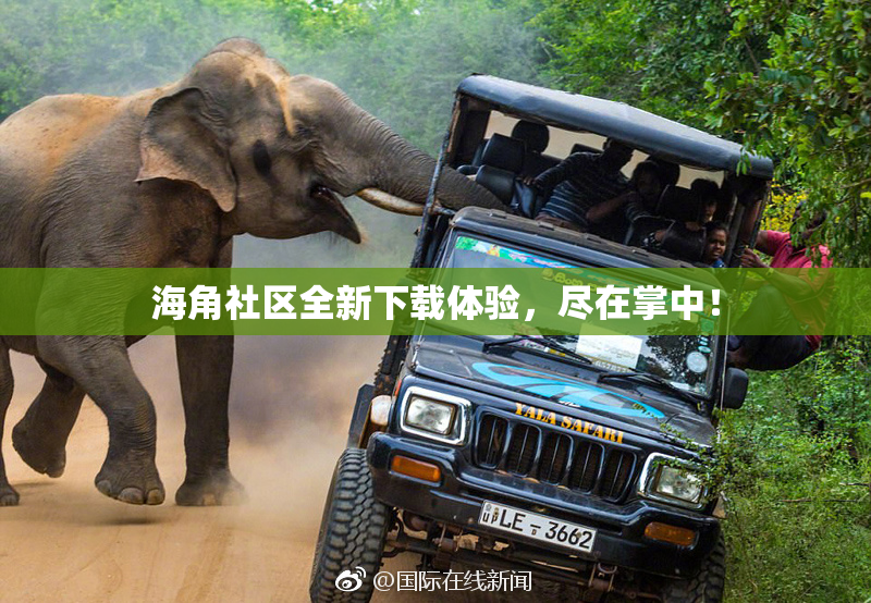 海角社区全新下载体验，尽在掌中！