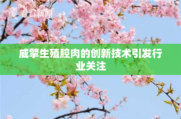 威擎生殖腔肉的创新技术引发行业关注