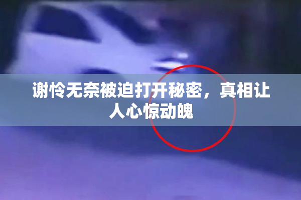 谢怜无奈被迫打开秘密，真相让人心惊动魄