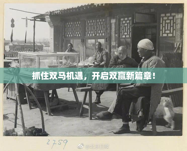 抓住双马机遇，开启双赢新篇章！