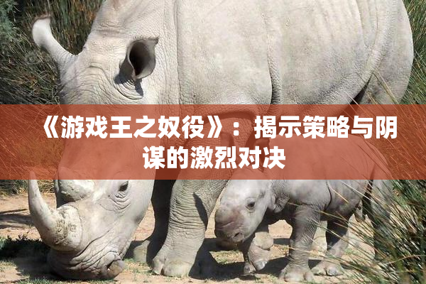《游戏王之奴役》：揭示策略与阴谋的激烈对决