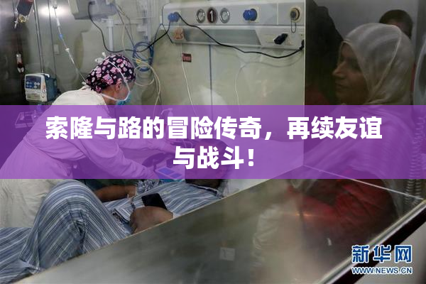 索隆与路的冒险传奇，再续友谊与战斗！