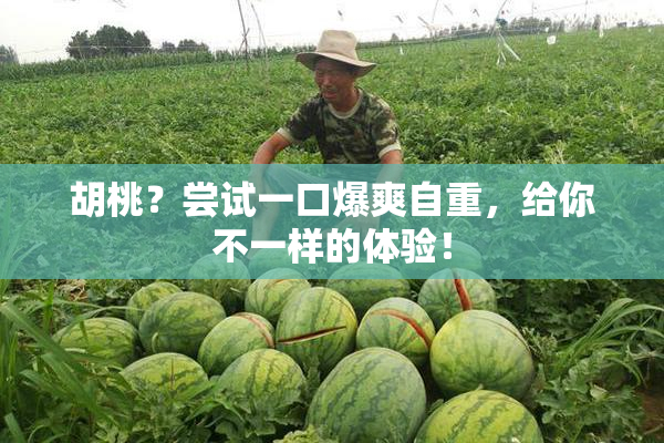 胡桃？尝试一口爆爽自重，给你不一样的体验！