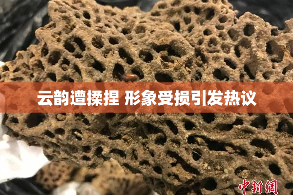 云韵遭揉捏 形象受损引发热议