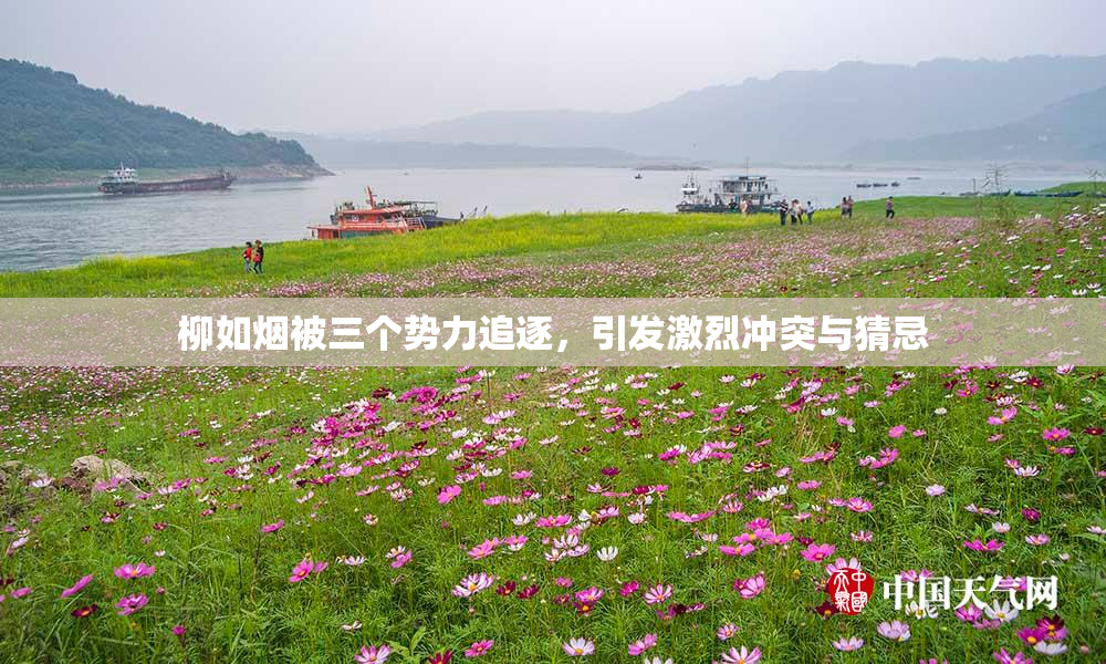 柳如烟被三个势力追逐，引发激烈冲突与猜忌