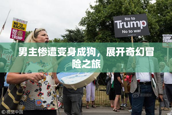 男主惨遭变身成狗，展开奇幻冒险之旅