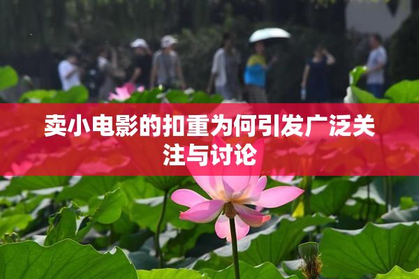 卖小电影的扣重为何引发广泛关注与讨论