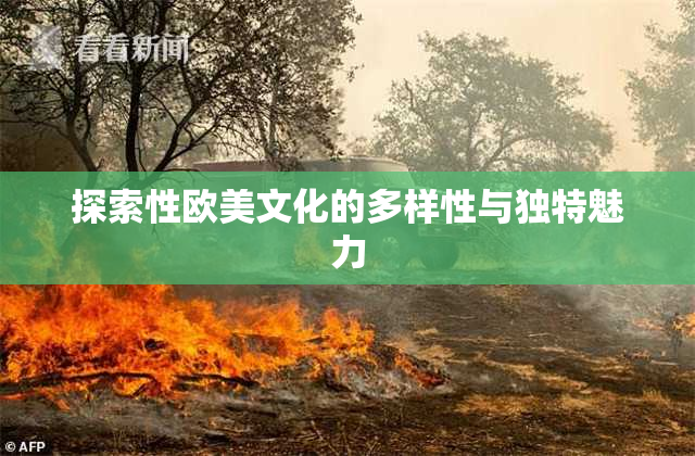 探索性欧美文化的多样性与独特魅力